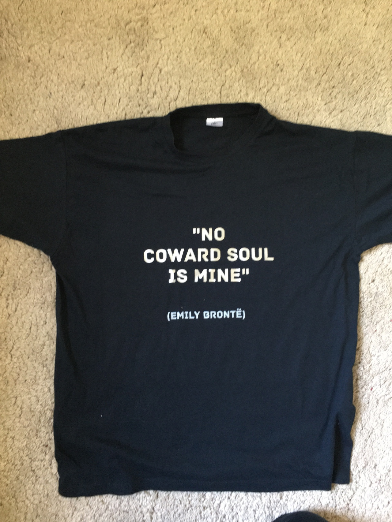 No coward Soul is mine